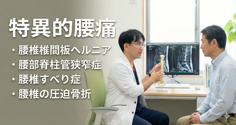 診察室で日本人医師がMRIモニターと脊椎模型を使い、特異的腰痛（腰椎椎間板ヘルニア、腰部脊柱管狭窄症、腰椎すべり症、腰椎の圧迫骨折）について患者に説明している画像。